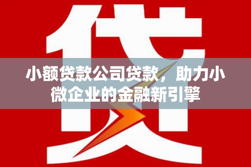 甲仙小额贷款公司贷款，助力小微企业的金融新引擎