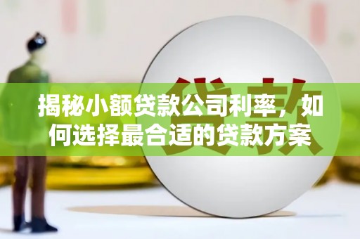 甲仙揭秘小额贷款公司利率，如何选择最合适的贷款方案