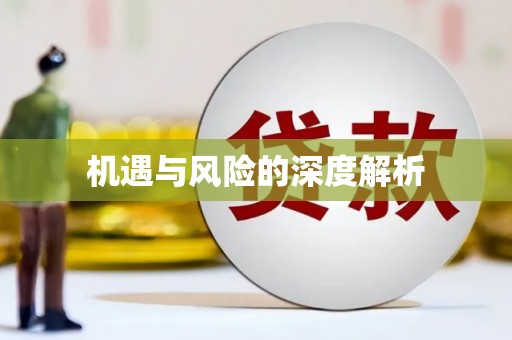 甲仙机遇与风险的深度解析