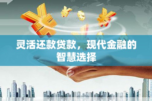甲仙灵活还款贷款，现代金融的智慧选择