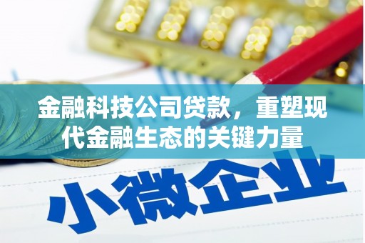 甲仙金融科技公司贷款，重塑现代金融生态的关键力量