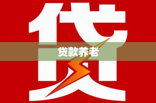甲仙贷款养老
