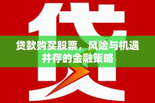 甲仙贷款购买股票，风险与机遇并存的金融策略