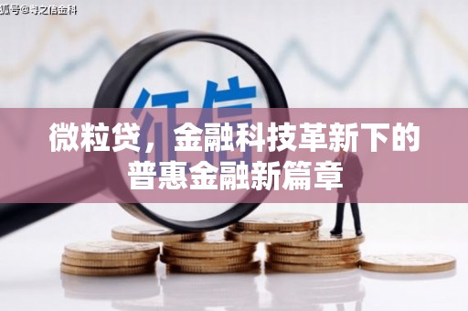 甲仙微粒贷，金融科技革新下的普惠金融新篇章