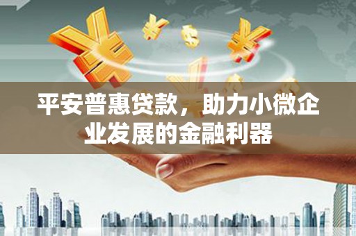 甲仙平安普惠贷款，助力小微企业发展的金融利器