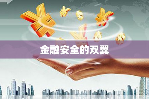 甲仙金融安全的双翼