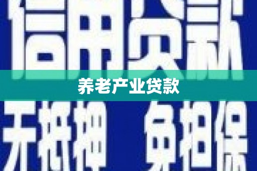 甲仙养老产业贷款