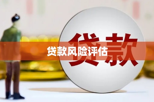 甲仙贷款风险评估