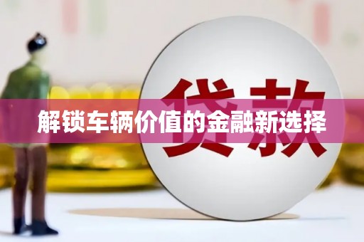 甲仙解锁车辆价值的金融新选择