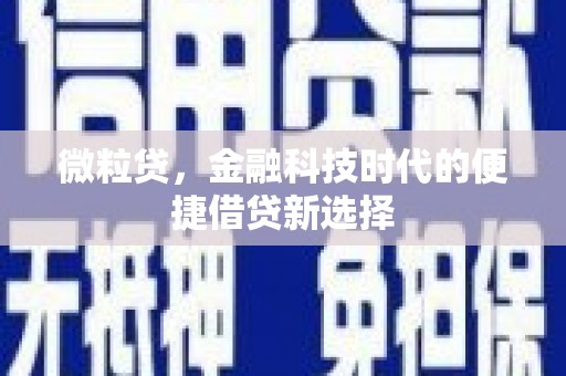 甲仙微粒贷，金融科技时代的便捷借贷新选择