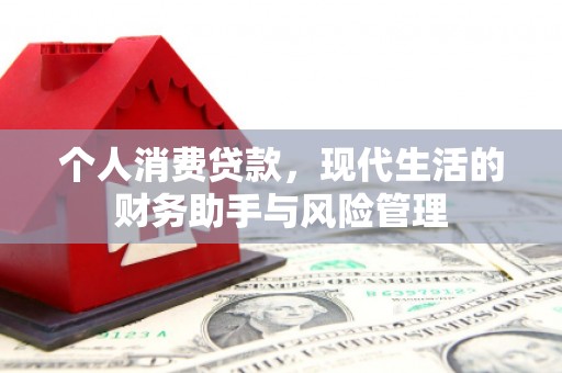 甲仙个人消费贷款，现代生活的财务助手与风险管理