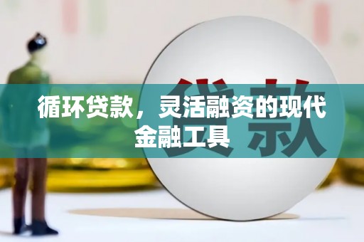 甲仙循环贷款，灵活融资的现代金融工具