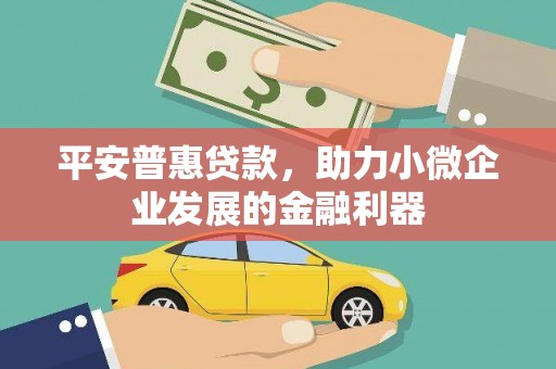甲仙平安普惠贷款，助力小微企业发展的金融利器