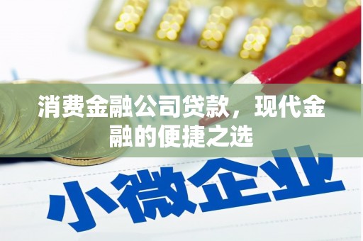 甲仙消费金融公司贷款，现代金融的便捷之选