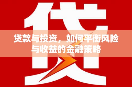甲仙贷款与投资，如何平衡风险与收益的金融策略
