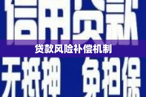 甲仙贷款风险补偿机制