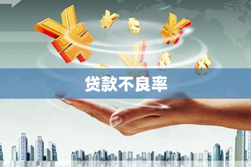 甲仙贷款不良率