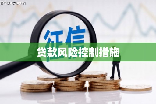 甲仙贷款风险控制措施