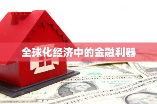 甲仙全球化经济中的金融利器