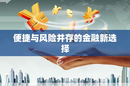 甲仙便捷与风险并存的金融新选择