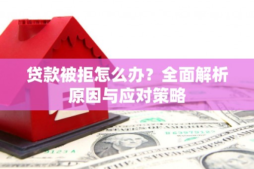 甲仙贷款被拒怎么办？全面解析原因与应对策略