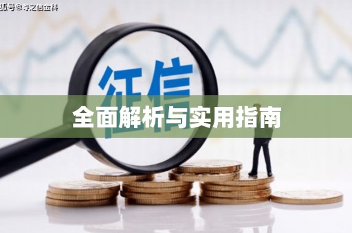 甲仙全面解析与实用指南