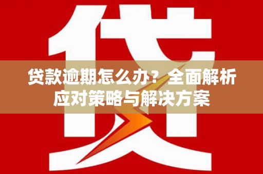 甲仙贷款逾期怎么办？全面解析应对策略与解决方案