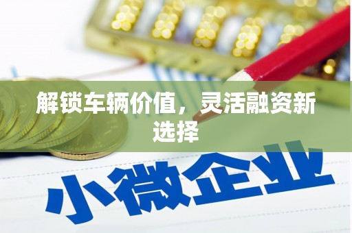 甲仙解锁车辆价值，灵活融资新选择