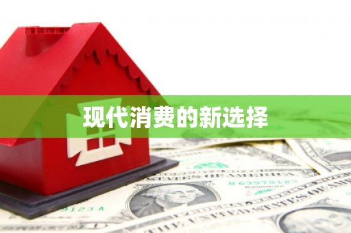 甲仙现代消费的新选择
