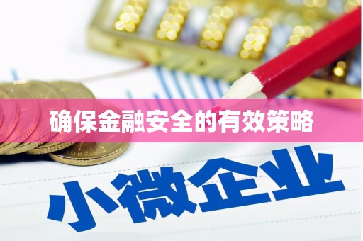甲仙确保金融安全的有效策略