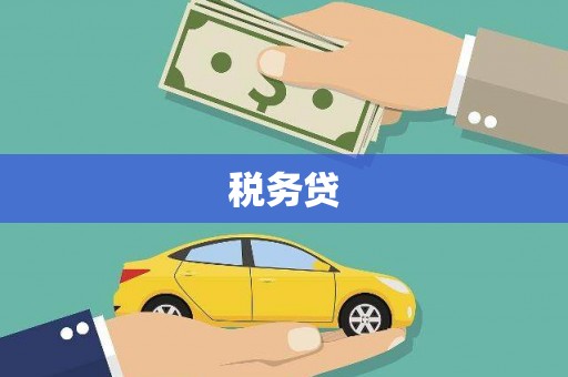 甲仙税务贷