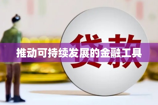 甲仙推动可持续发展的金融工具