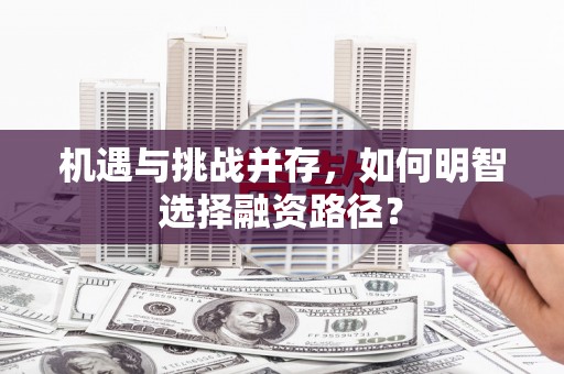 甲仙机遇与挑战并存，如何明智选择融资路径？