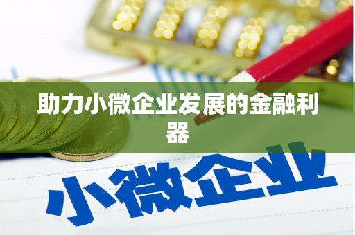 甲仙助力小微企业发展的金融利器