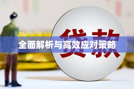 甲仙全面解析与高效应对策略
