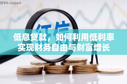 甲仙低息贷款，如何利用低利率实现财务自由与财富增长