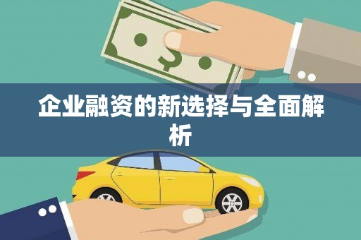 甲仙企业融资的新选择与全面解析