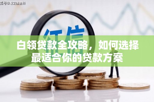 甲仙白领贷款全攻略，如何选择最适合你的贷款方案